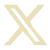 x logo